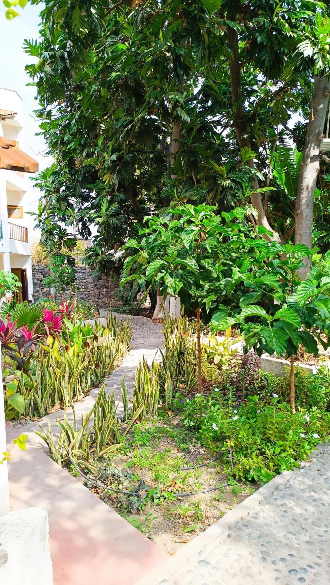 Oasis Paul Residencial Exterior foto